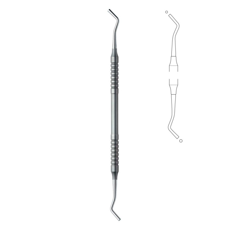 FULOAR DENTAR FIG. 2