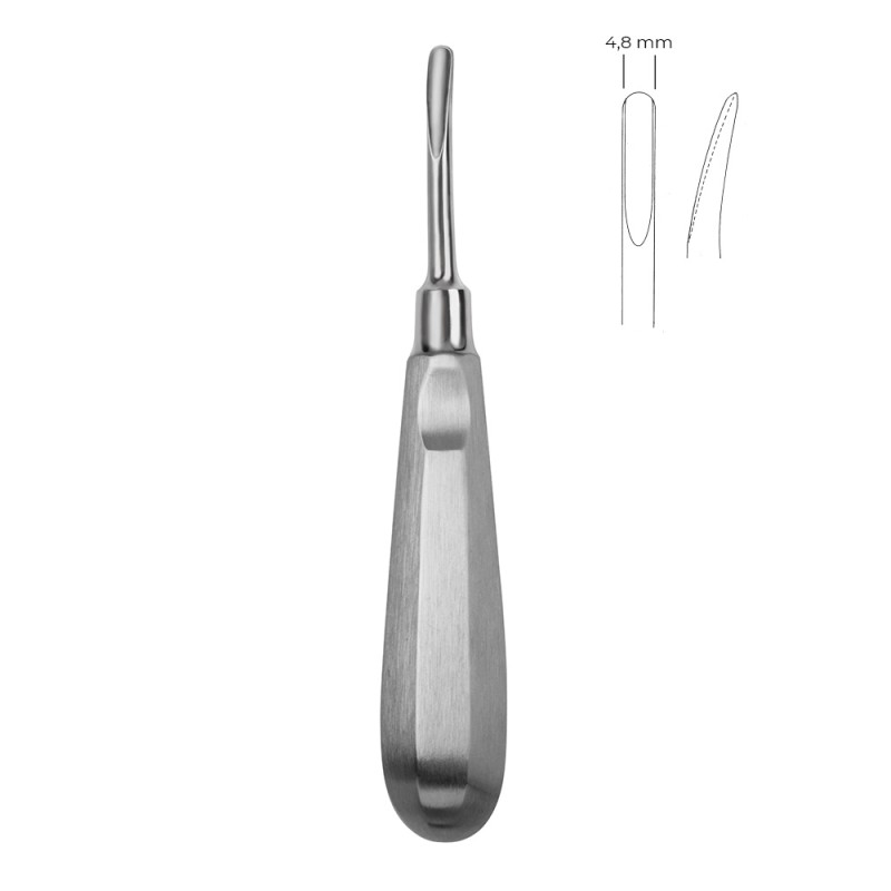 ELEVATOR DREPT CRYER PENTRU RADACINI