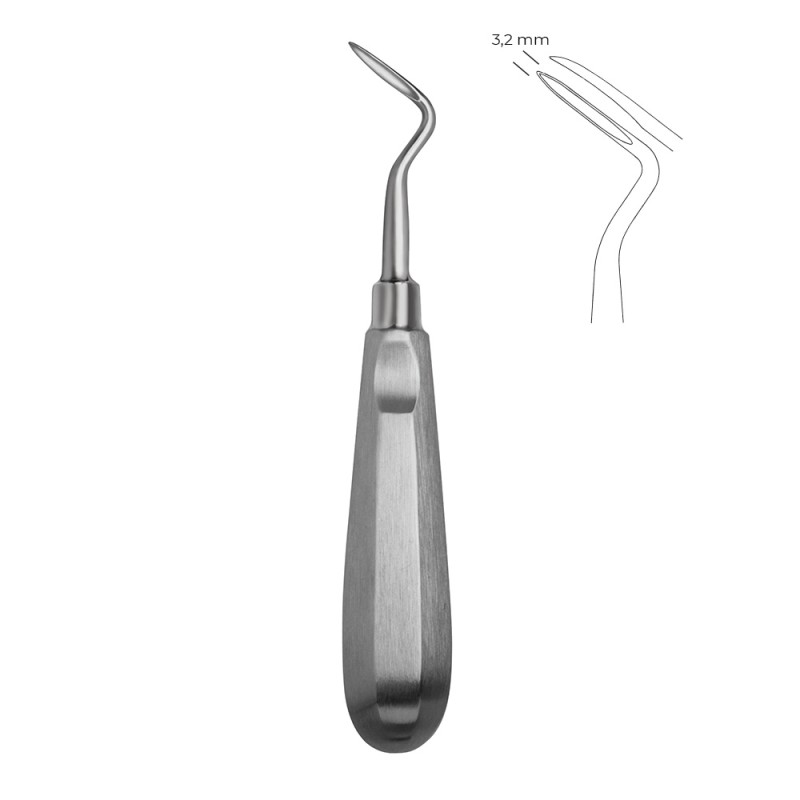 ELEVATOR CURB DE DREAPTA APICAL FLOHR