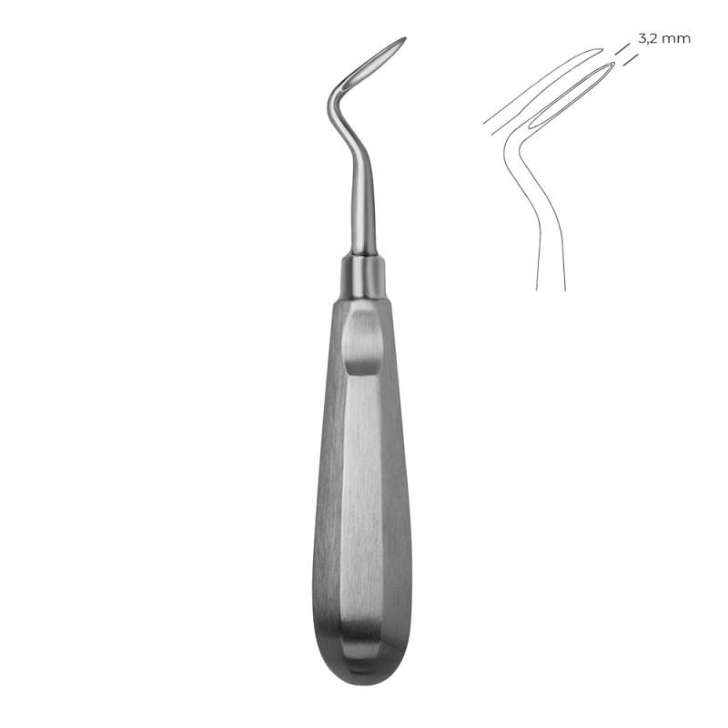 ELEVATOR CURB DE STANGA APICAL FLOHR