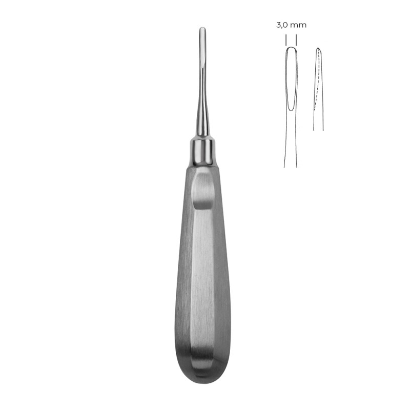 ELEVATOR DREPT APICAL FLOHR