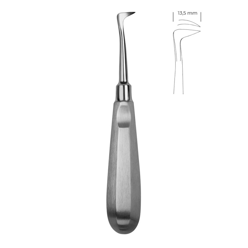 ELEVATOR DE RĂDĂCINI